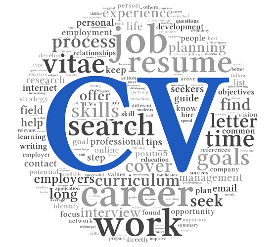 Curriculum Vitae Imagen